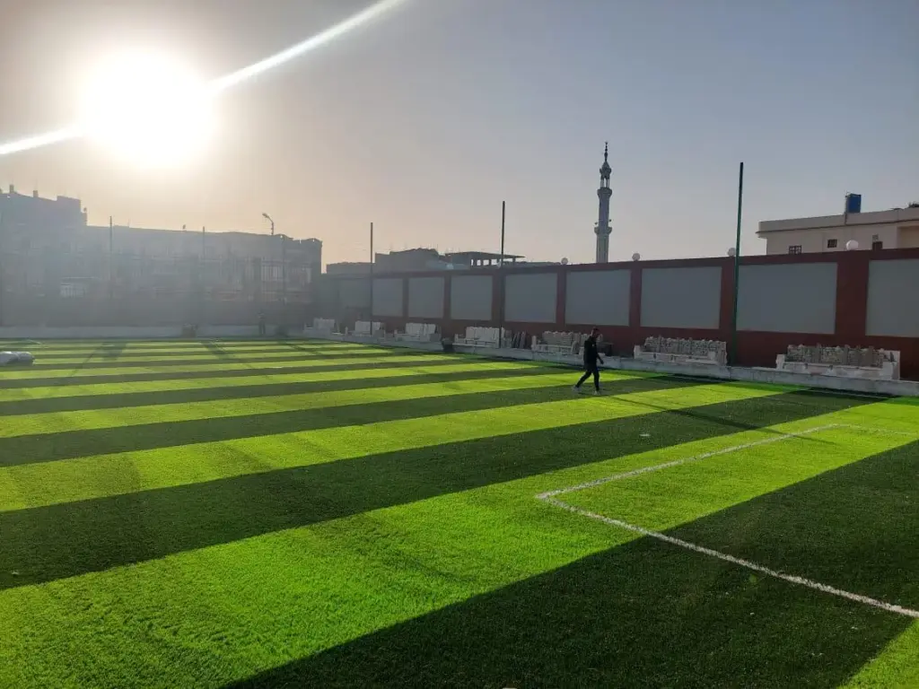 مشروع حياة كريمة - 5