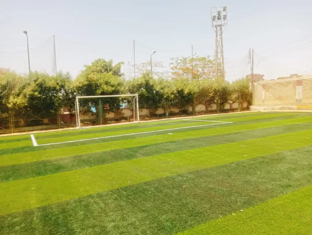 مشروع تجهيز وتطوير مركز شباب ميت قادوس - 3