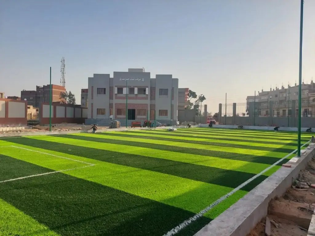 مشروع حياة كريمة - 3