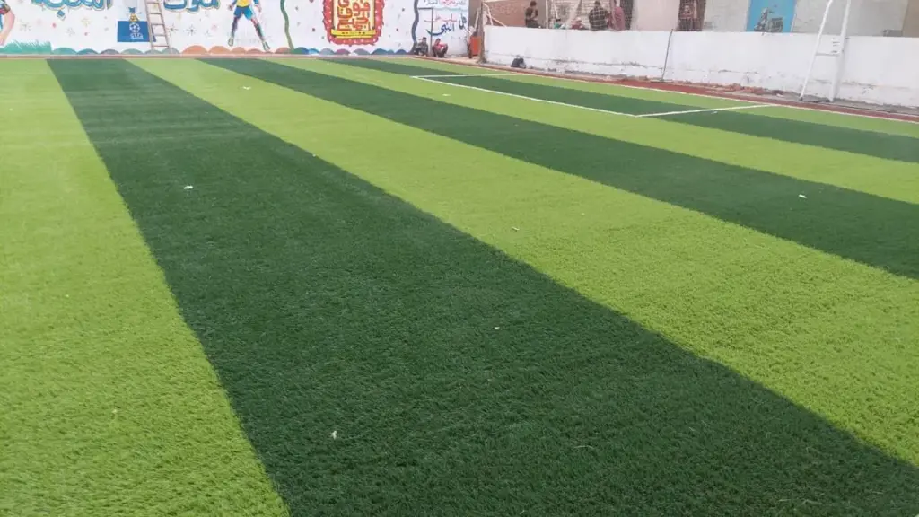 مشروع محمد روستم
