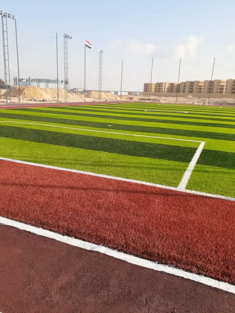 مشروع جامعة سيناء - 5