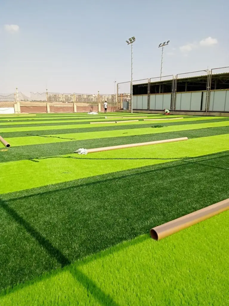 مشروع المدرسة البريطانية - 5