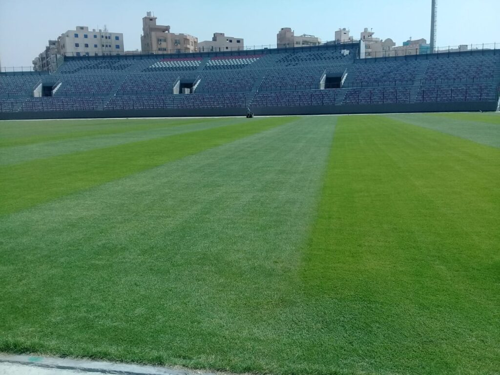 نجيل طبيعي - صور الملعب - صورة 10