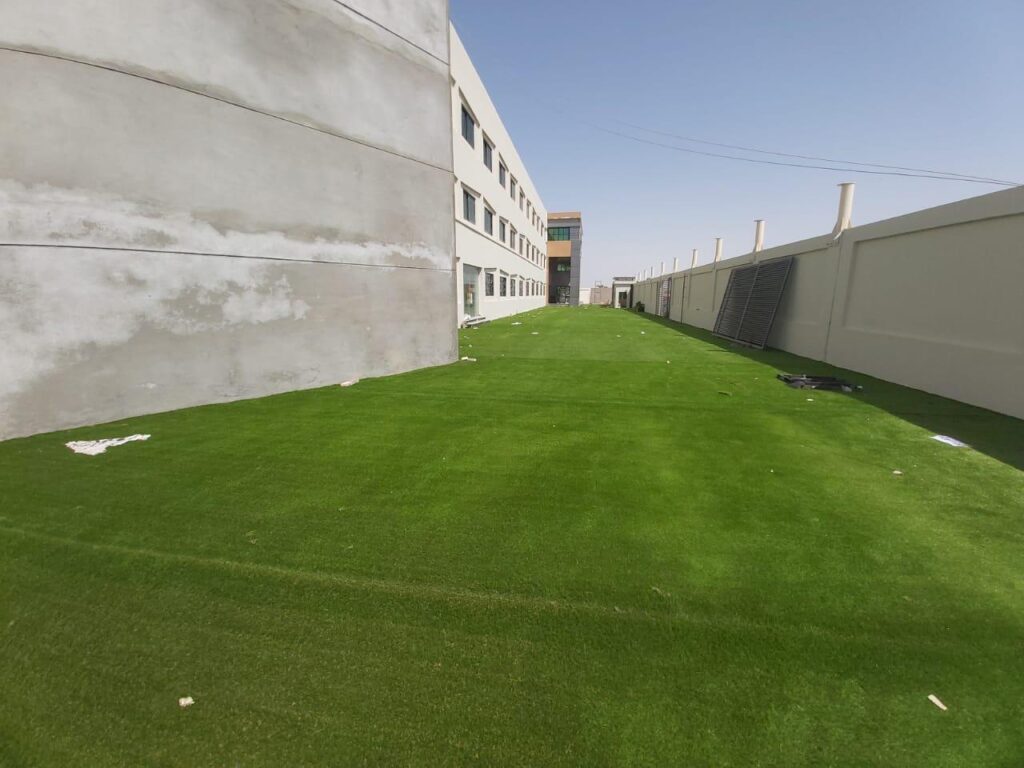 مشروع مدرسة نيو فيوتشر - 4