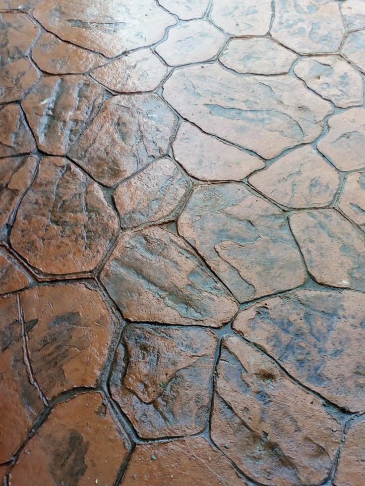 المواقع العامة والبنية التحتية - صور الملعب - صورة 3