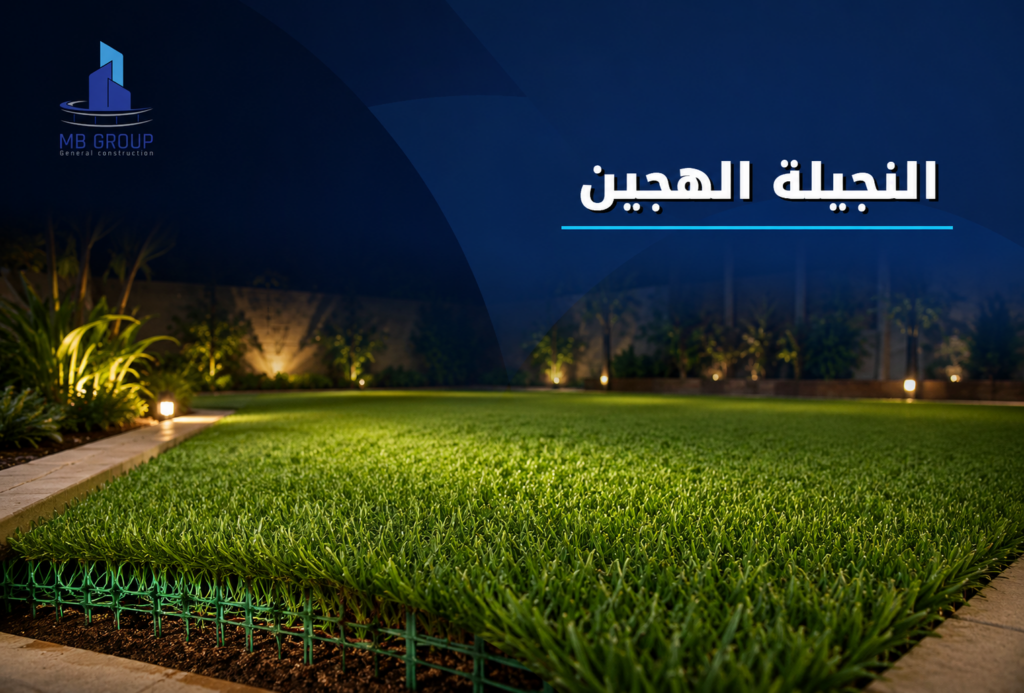 النجيلة الهجين