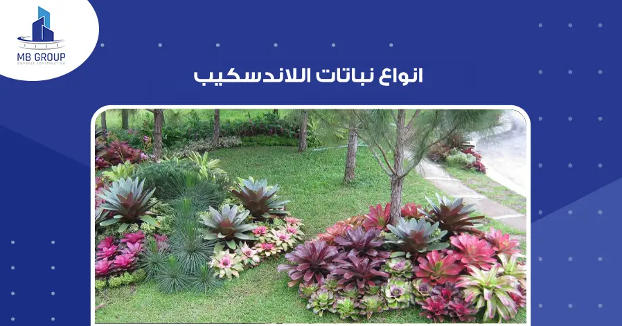 انواع نباتات اللاندسكيب