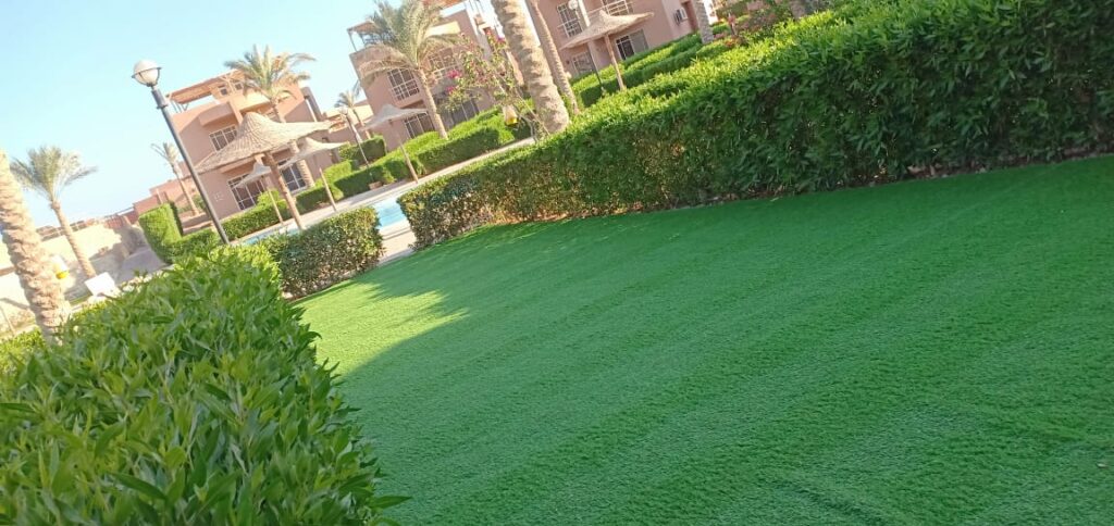 لاندسكيب - صورة 6