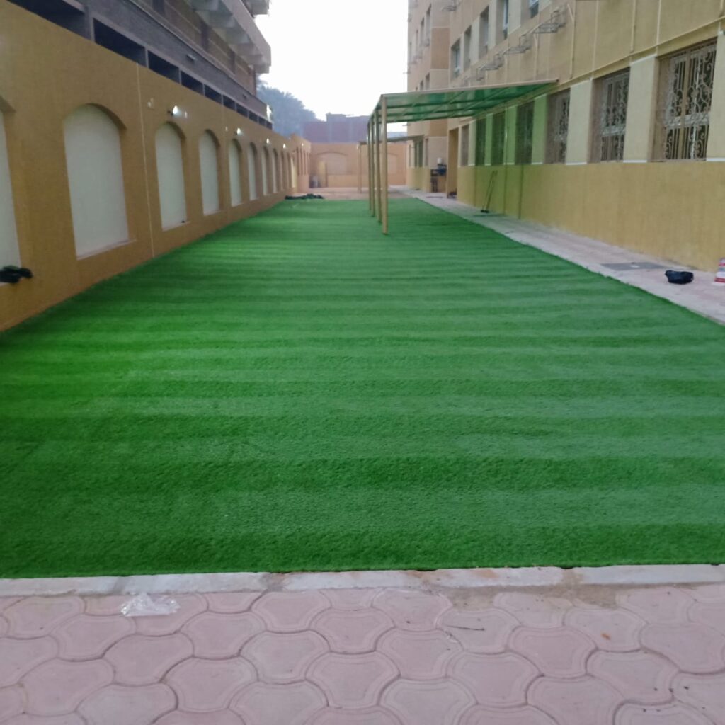 لاندسكيب - صورة 7