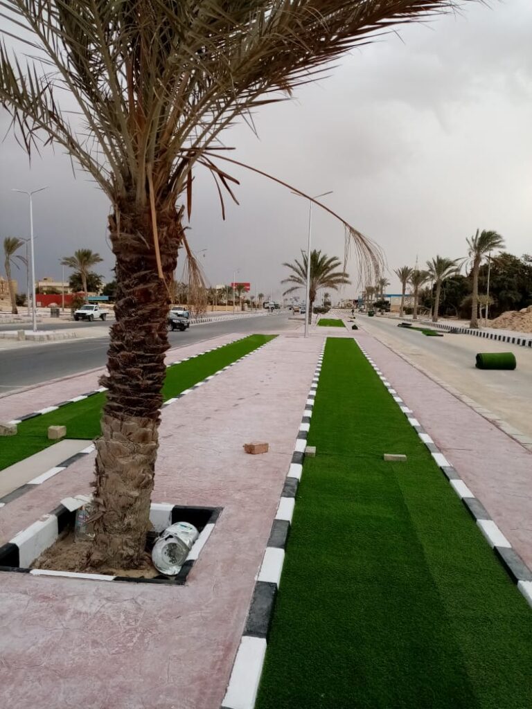 لاندسكيب - صورة 18
