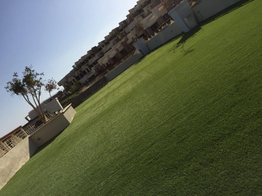 لاندسكيب - صورة 25