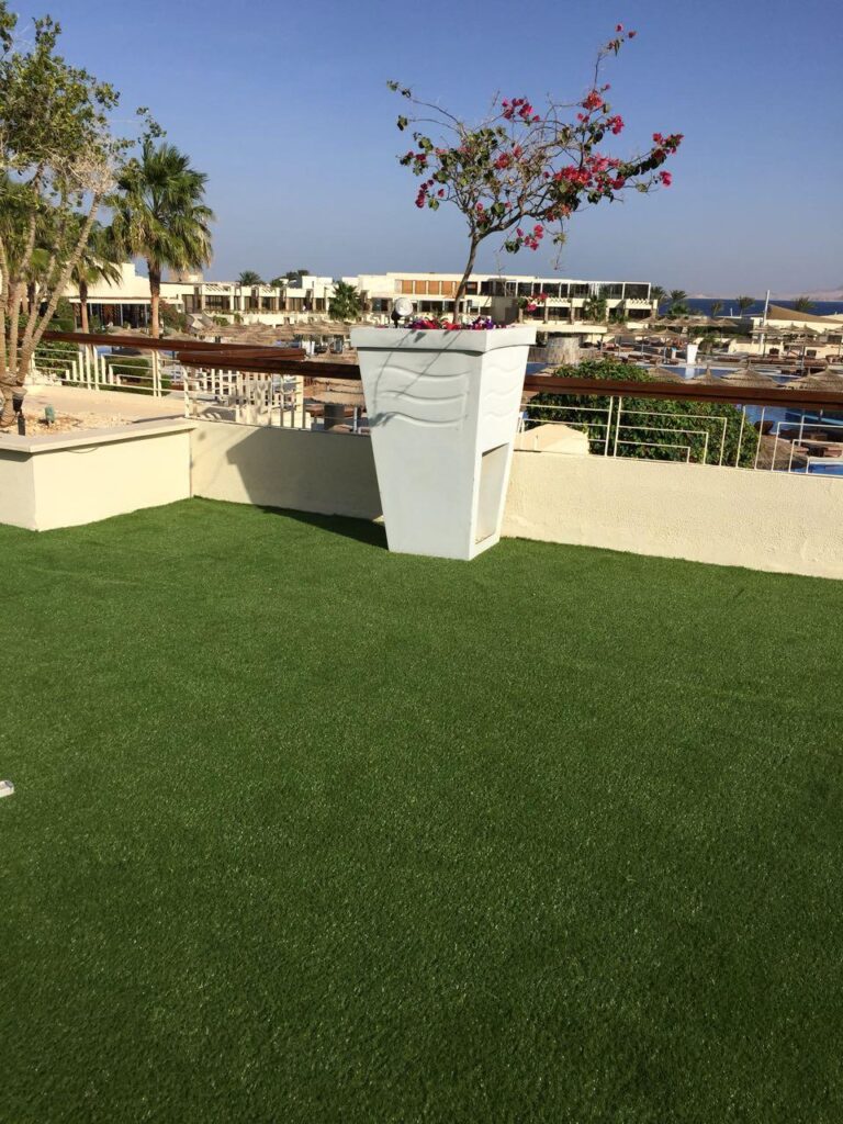 لاندسكيب - صورة 30