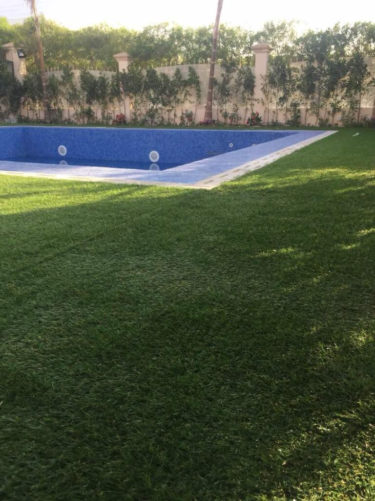 لاندسكيب - صورة 59