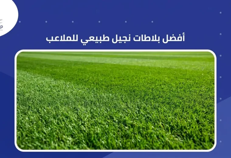 أفضل بلاطات نجيل طبيعي للملاعب